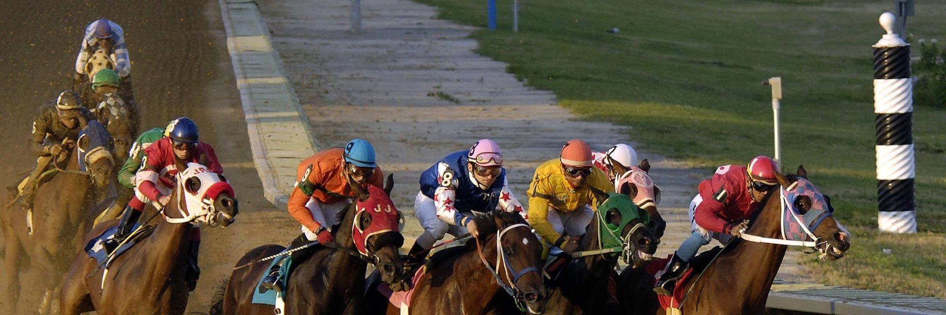 Dynamic Syndications Race The Best With The Best Through Prism 